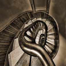Into the Rabbit Hole