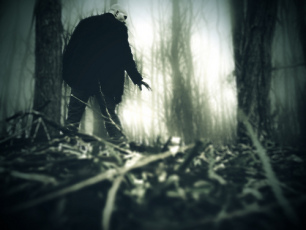 I remember him standing there like a break in the mist, or the shadow under old trees & I wish I had known then it is the place we cannot go that needs our touch most | 01162010
