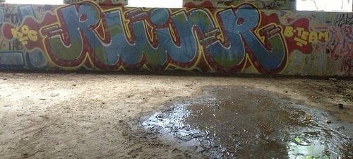 The Ruiner